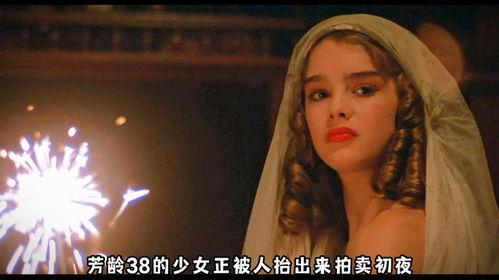 爱入歧途 第二季,情感漩涡再起，命运纠葛再续